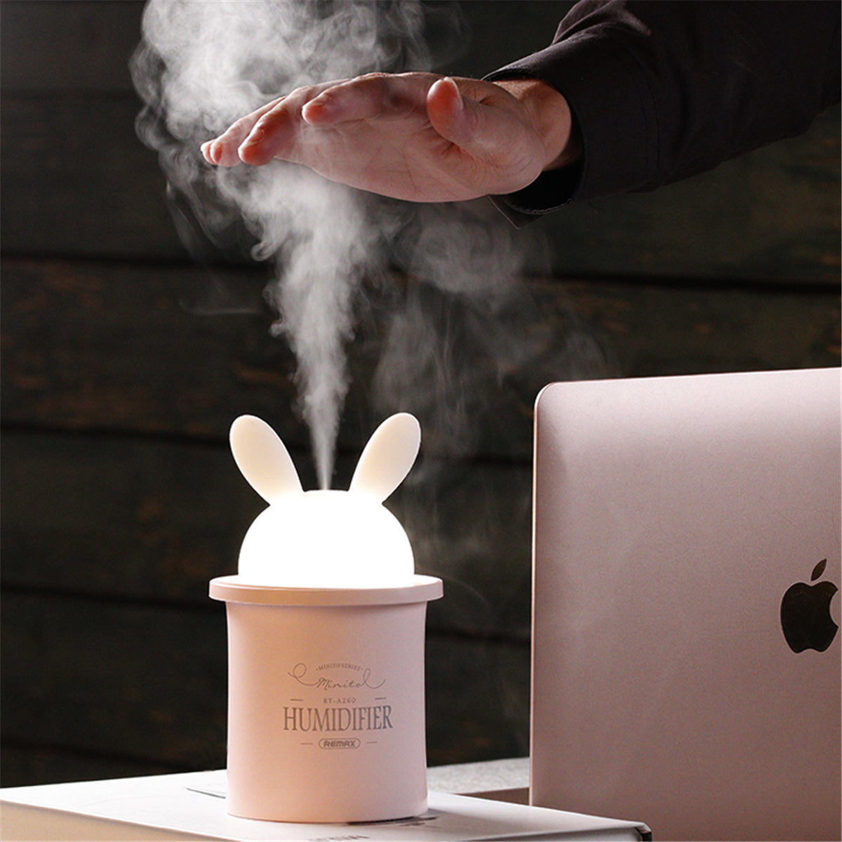 Humidificateur d'air & diffuseur d'huile essentielle REMAX RT-A260